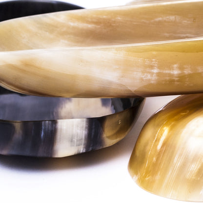 Hornschale  Zebu Horn